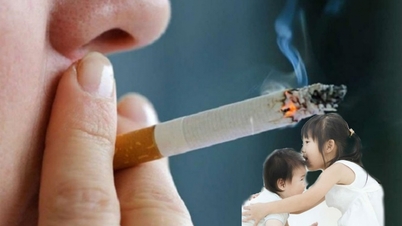 La proposition suggère d'intégrer à la loi des réglementations interdisant les cigarettes électroniques et les produits du tabac chauffé, et d'étendre le nombre de zones sans fumée.