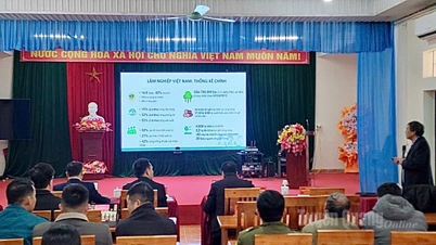 ឃុំវិញទុយអនុវត្តគំរូនៃការគ្រប់គ្រងព្រៃឈើប្រកបដោយចីរភាព និងវិញ្ញាបនបត្រព្រៃឈើ FSC។