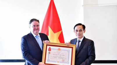 Ordinul Prieteniei a fost acordat ambasadorului SUA, Marc Knapper.