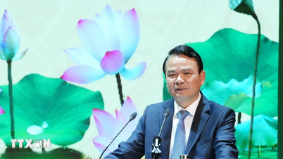 Ninh Binh implementează un nou model de creștere, aspirând la o creștere de două cifre.