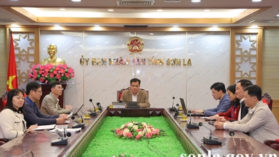 The State Steering Committee for National Key Programs and Projects in the Energy Sector will implement its tasks for 2026.