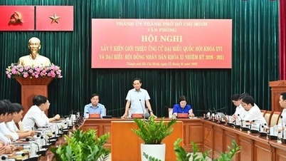 ขอแนะนำสหายเจิ่น ลู กวาง เลขาธิการคณะกรรมการพรรคประจำนครโฮจิมินห์ ในฐานะผู้สมัครรับเลือกตั้งเป็นสมาชิกสภาแห่งชาติชุดที่ 16