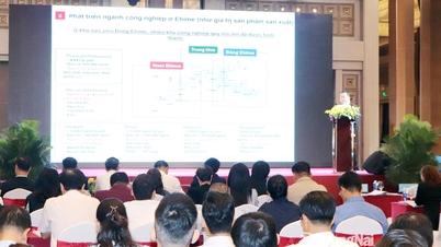 Đồng Nai kết nối kinh doanh, đầu tư với tỉnh Ehime (Nhật Bản)