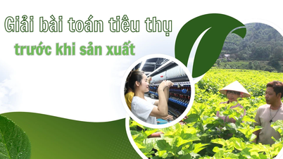 Giải bài toán tiêu thụ trước khi sản xuất