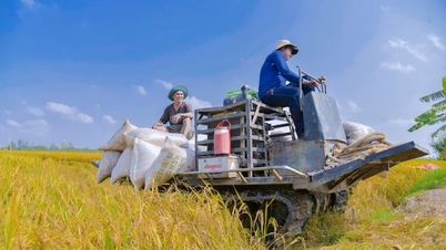 Xã Vĩnh Điều phấn đấu thu nhập bình quân đầu người đạt 72 triệu đồng/năm