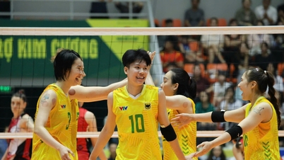 VTV Binh Dien Long An menerima ganjaran yang besar.