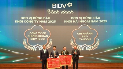 ניירות ערך BIDV (BSC): עולים על שיאים של כל הזמנים יחד עם השוק.