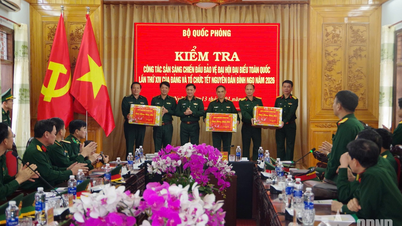 Das Verteidigungsministerium inspiziert die Kampfbereitschaft in Quang Ngai.
