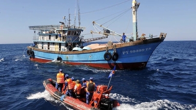 The Prime Minister directed that maximum time and resources be mobilized to combat IUU fishing.