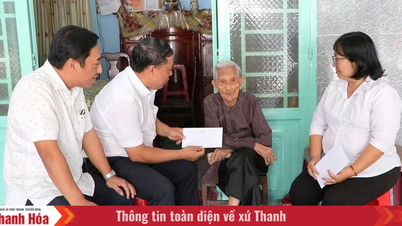 당 제14차 전국대표대회와 말띠 해를 맞아 588만 명이 넘는 사람들이 선물을 받았습니다.