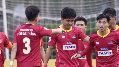 Academia de Aviație din Vietnam - Universitatea Ton Duc Thang: Se așteaptă puține surprize.