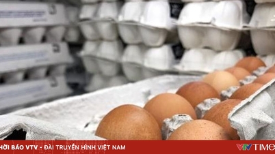 Trứng gà khan hiếm kéo dài tại Pháp
