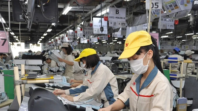 Innovar el modelo de crecimiento crea impulso para que Phu Tho logre avances.