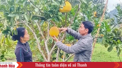 Der Parteisekretär der ethnischen Gruppe der Muong ist für seine Arbeit verantwortlich.