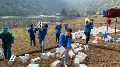 Quang Uyen کمیون قدرتی آفات کے بعد گھروں کی تعمیر نو میں لوگوں کی مدد کرتا ہے - Cao Bang آن لائن اخبار