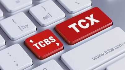 TCBS: ২০২৫ সালে মুনাফা ৭,১০০ বিলিয়ন ভিয়েতনামি ডং-এর রেকর্ড সর্বোচ্চে পৌঁছাবে।
