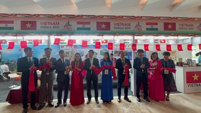 I 2025 forventes handelen mellom Vietnam og India å nå et rekordhøyt nivå på nesten 16,46 milliarder dollar.