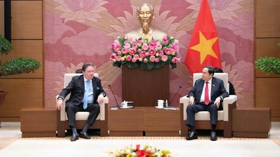 Vietnam - USA: Schaffung von Voraussetzungen für eine effektive Umsetzung von Kooperationsmechanismen.