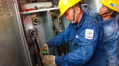 Miasto Ho Chi Minh zatwierdza inwestycję w stację elektroenergetyczną Dam Sen o napięciu 220 kV, z kapitałem wynoszącym prawie 771 miliardów VND.