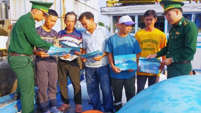 Quang Ngai är fast beslutet att ta bort det "gula kortet" för IUU-fiske och gå mot ett hållbart fiske.