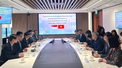 Il Vietnam accoglie con favore gli investitori di Singapore che desiderano collaborare alla costruzione di un centro finanziario.