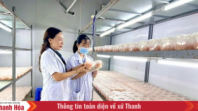 จากเสาหลักที่คอยค้ำจุน สู่ตัวขับเคลื่อนการเติบโต