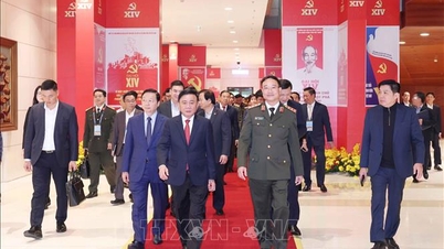 Tran Cam Tu, Standing Member of the Secretariat of the Central Committee, conducts a general review of the organizational work for the 14th National Congress of the Party.