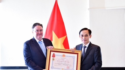 Le ministre des Affaires étrangères, Le Hoai Trung, remet l'Ordre de l'Amitié à l'ambassadeur des États-Unis, Marc Knapper.