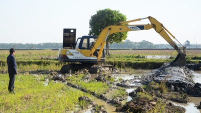Empresa de explotación de obras de riego de Luong Tai: mejora de la eficiencia del riego y el drenaje para servir a la producción.