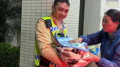 交通警察は出産中の妊婦を乗せた車を病院まで護衛した。