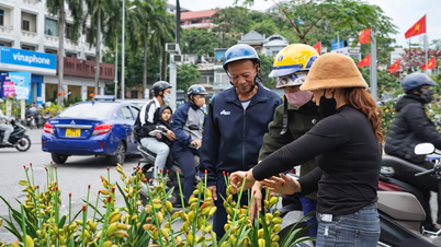 Kien An menganjurkan pasar Tet untuk meraikan Tahun Baru Cina 2026 (Tahun Kuda) di kawasan bandar Cuu Vien.