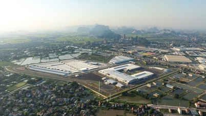 TC Group: Der Weg zur Festigung ihrer Position als führender branchenübergreifender Wirtschaftskonzern in Vietnam.