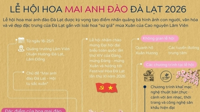 Da Lat Kiraz Çiçeği Festivali ne zaman düzenlenecek?