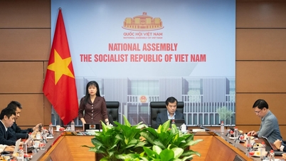 Đào tạo sử dụng hệ thống phần mềm quản lý thông tin bầu cử