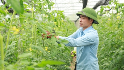 Lào Cai xây dựng 7 nhóm sản phẩm trồng trọt phát thải thấp