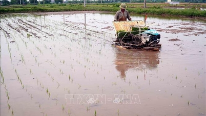 Trung du và Đồng bằng Bắc Bộ đảm bảo đủ điều kiện lấy nước gieo cấy đợt 1