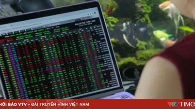 Acțiunile vietnameze sunt în creștere la începutul anului 2026: determinate de politici și fluxuri de capital.