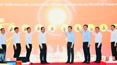 Ho Chi Minh-staden: Lansering av en kampanj för att bygga och förbättra databaser.