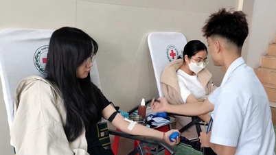 O Hospital Geral Provincial de Lam Dong recebeu 97 unidades de sangue.