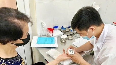 Proposta para a construção de um Complexo de Saúde para Idosos da Universidade Médica de Hanói no distrito de Hoang Mai.
