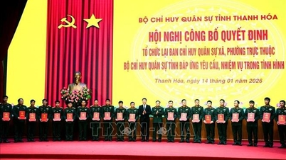 タインホア：社区軍事指揮委員会に166人の指揮官が任命された。