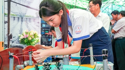 2025-2026학년도 도 단위 과학기술 경진대회에는 220개 이상의 프로젝트가 참가했습니다.