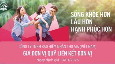 Cập nhật giá đơn vị Quỹ liên kết đơn vị của AIA Việt Nam ngày 14/1/2026