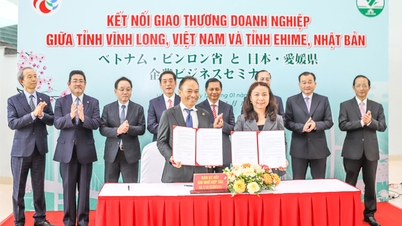 VINH LONG - EHIME (JAPÁN) Új, érdemi és fenntartható együttműködési lehetőségeket nyit meg.