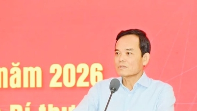 Ho Si Minh-város alapvető technológiai termelési kapacitást fejleszt.
