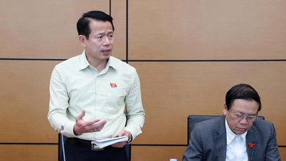 Zástupce vedoucího delegace Národního shromáždění provincie Ninh Binh, Nguyen Hai Dung: Decentralizace a delegování moci – institucionální páky pro prosperitu země.