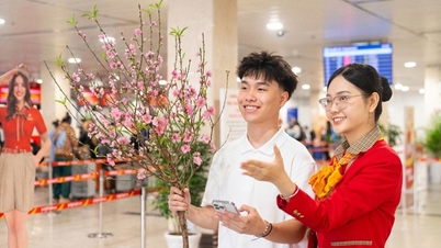 Vietjet wird ab dem 15. Januar mit dem Transport von Aprikosen- und Pfirsichblüten für das chinesische Neujahr 2026 beginnen.
