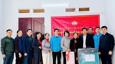 រដូវផ្ការីកដ៏កក់ក្តៅមួយនៅក្នុងផ្ទះសាមគ្គីភាពនៃស្រុកណាំភូ។