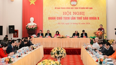 Vietnam Vatan Cephesi Merkez Komitesi Başkanlık Divanı 6. Konferansı, 10. Dönem