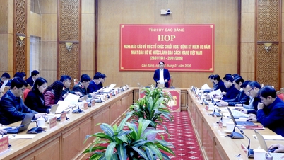 Provinspartiets sekreterare Phan Thăng An ledde ett möte om att organisera en serie aktiviteter för att fira 85-årsdagen av president Ho Chi Minhs återkomst till Vietnam för att direkt leda den vietnamesiska revolutionen.